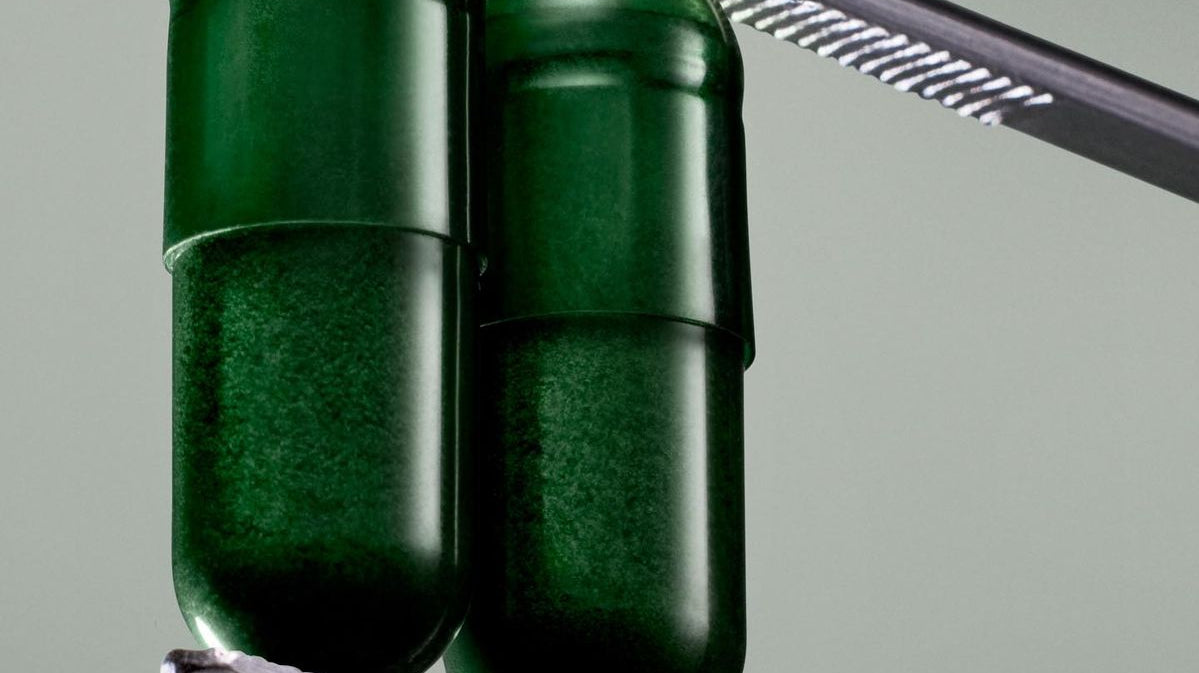 Your Gut Has a Nervous System. Here’s What It’s Telling You