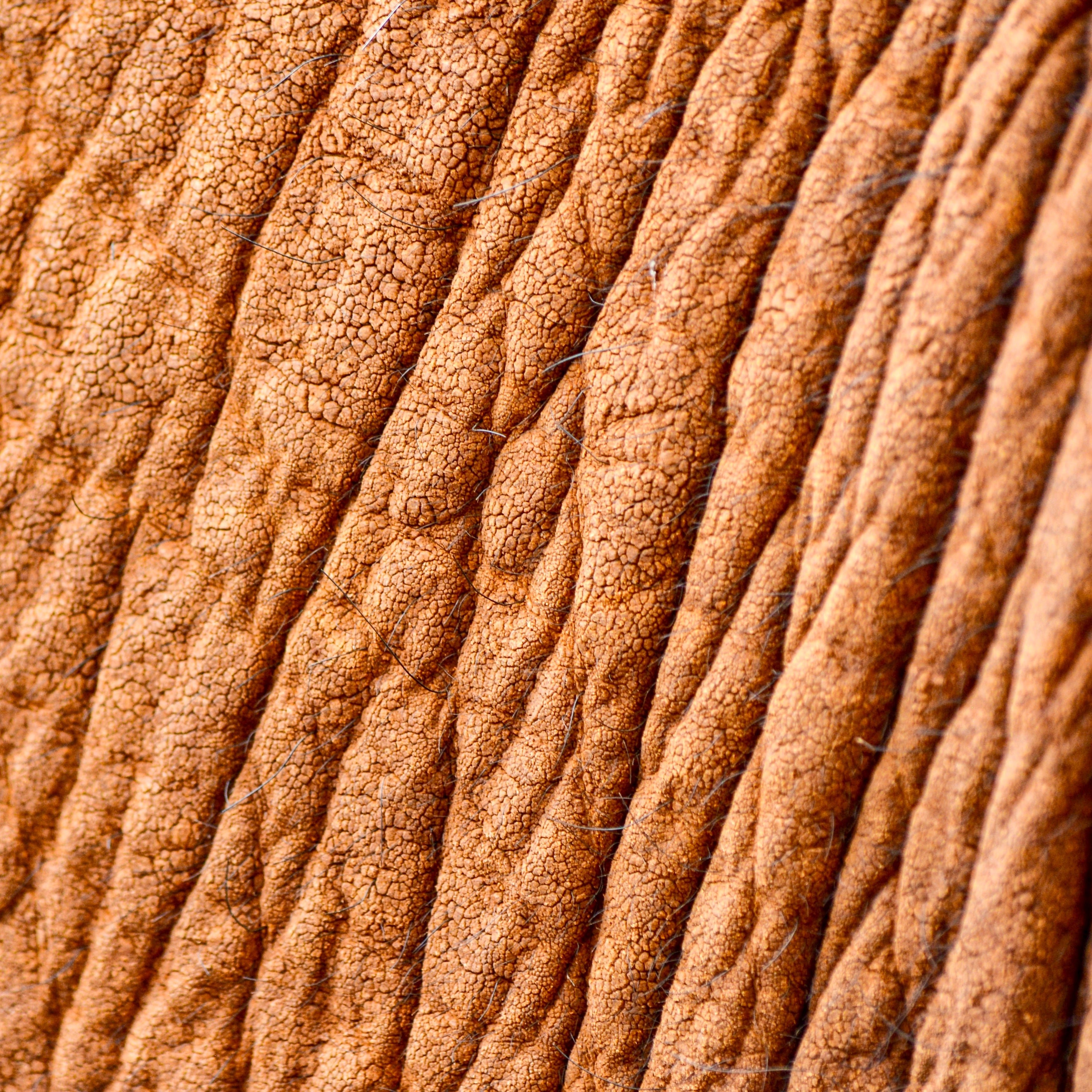 5 life hacks for dry skin that really work - Skin Love Cream