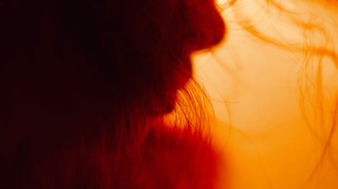Is It Anxiety, or Is It Just Blood Sugar and Caffeine?