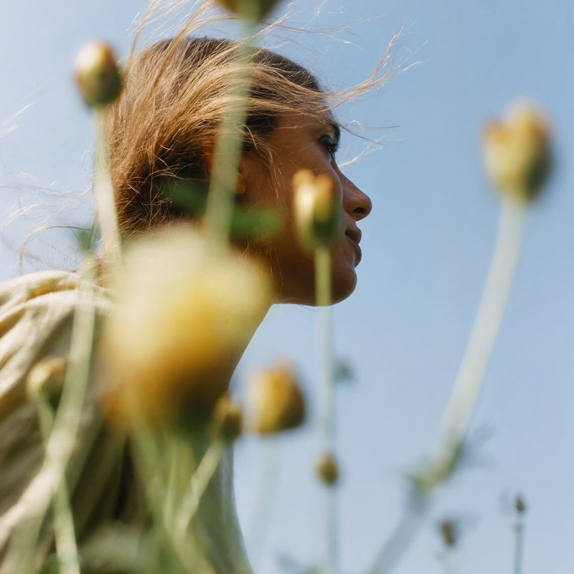 Does Morning Light Start Every Process in Your Body?