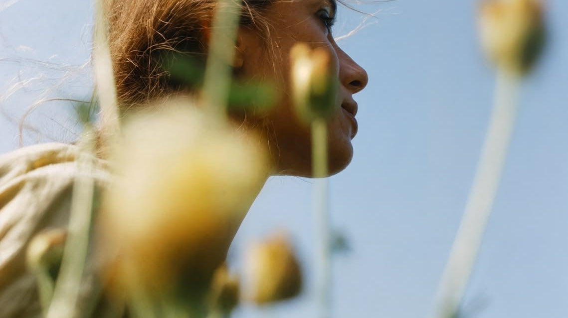 Does Morning Light Start Every Process in Your Body?