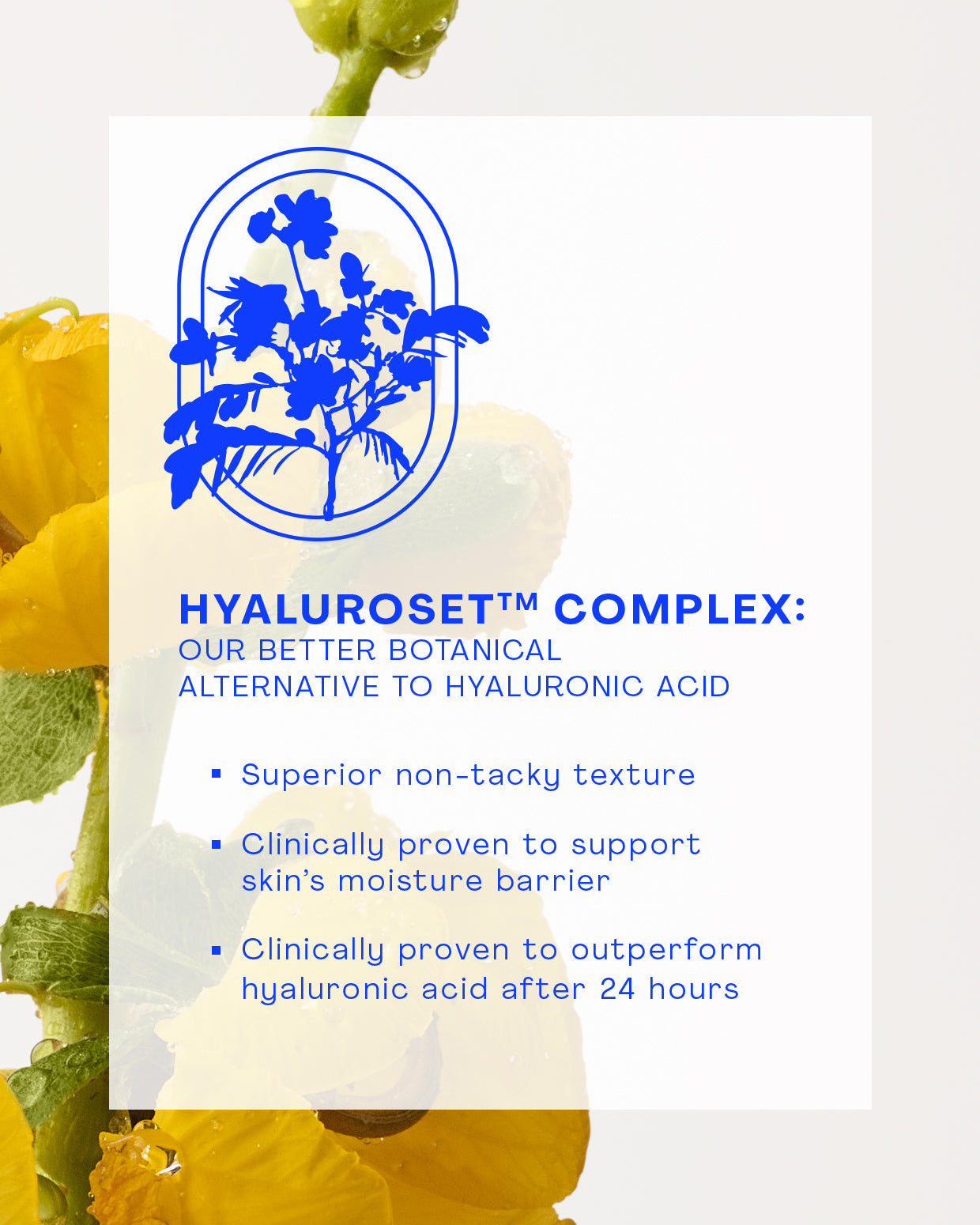 The Outset Nourishing Squalane Daily Moisturizer