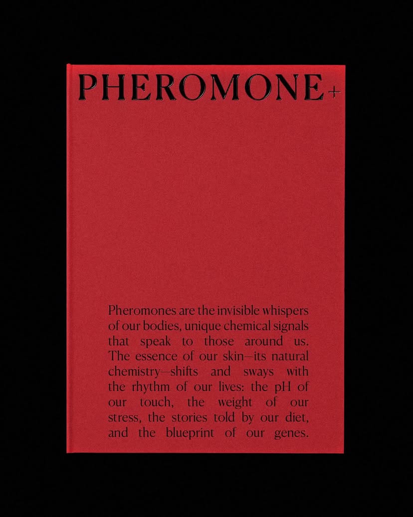 THE NUE CO Us - Skin Love Cream