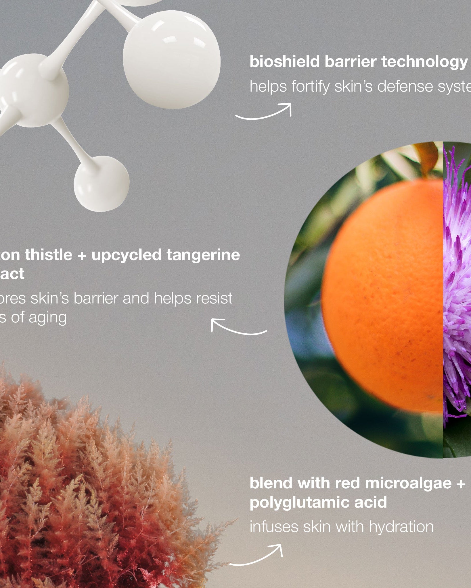 Dermalogica Dynamic Skin Strengthening Serum