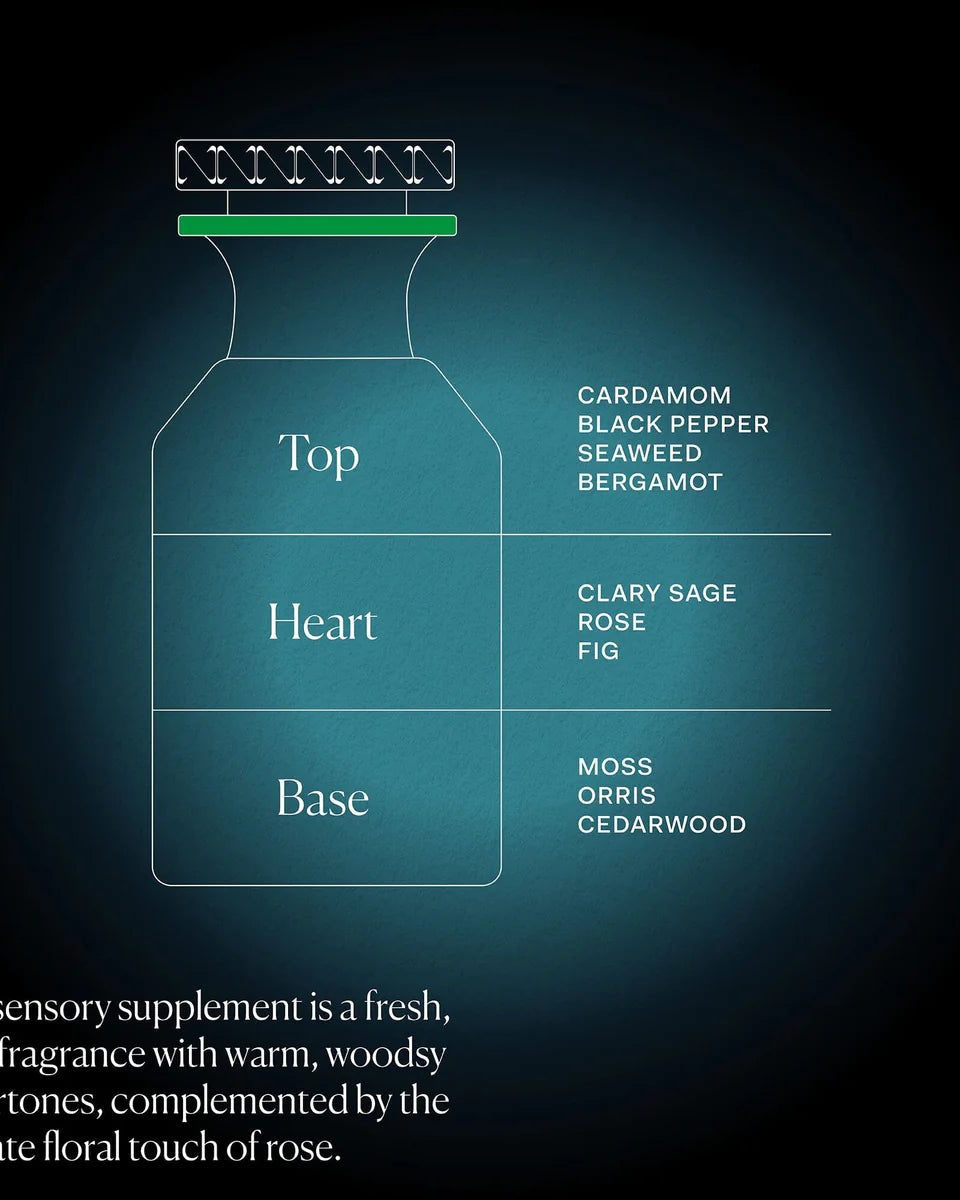 THE NUE CO Water Therapy - Skin Love Cream