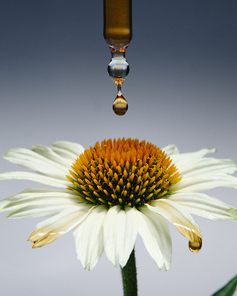 THE NUE CO Defense Drops