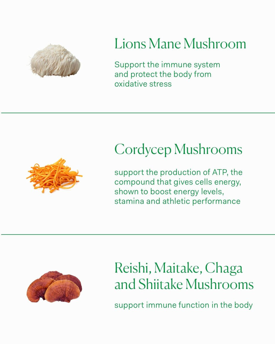 THE NUE CO Multi Mushroom Complex - Skin Love Cream