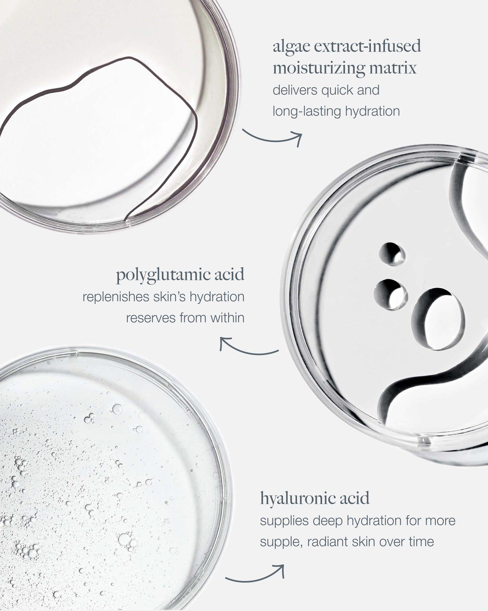 Dermalogica Circular Hydration Serum With Hyaluronic Acid - Skin Love Cream