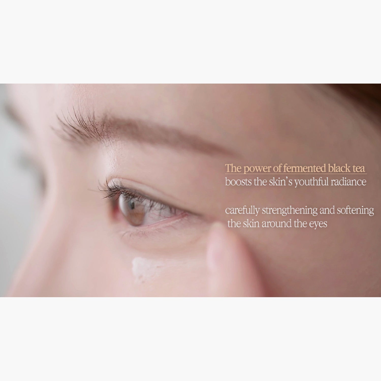 Pyunkang Yul Black Tea Time Reverse Eye Cream - Skin Love Cream