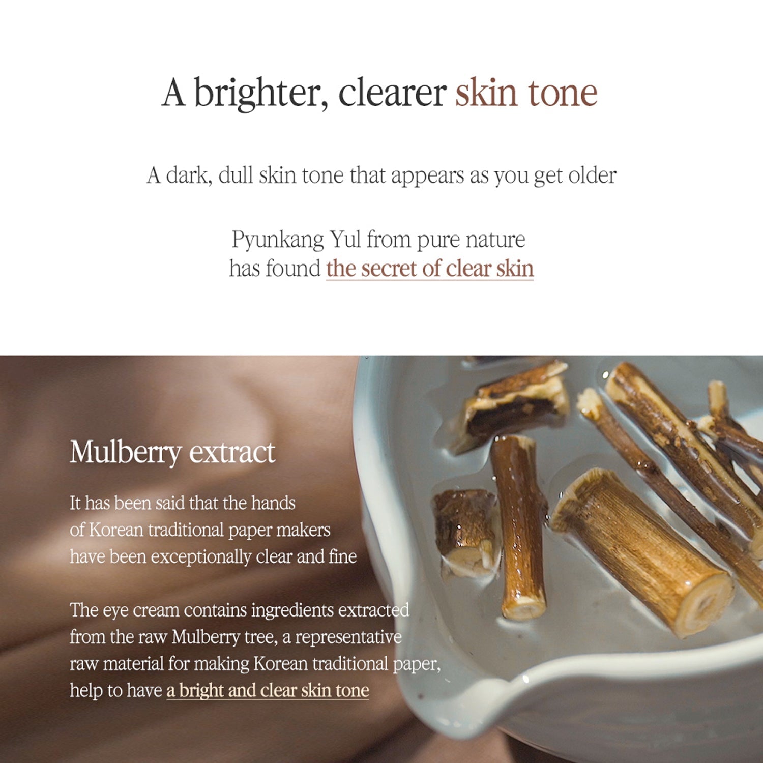 Pyunkang Yul Black Tea Time Reverse Eye Cream - Skin Love Cream