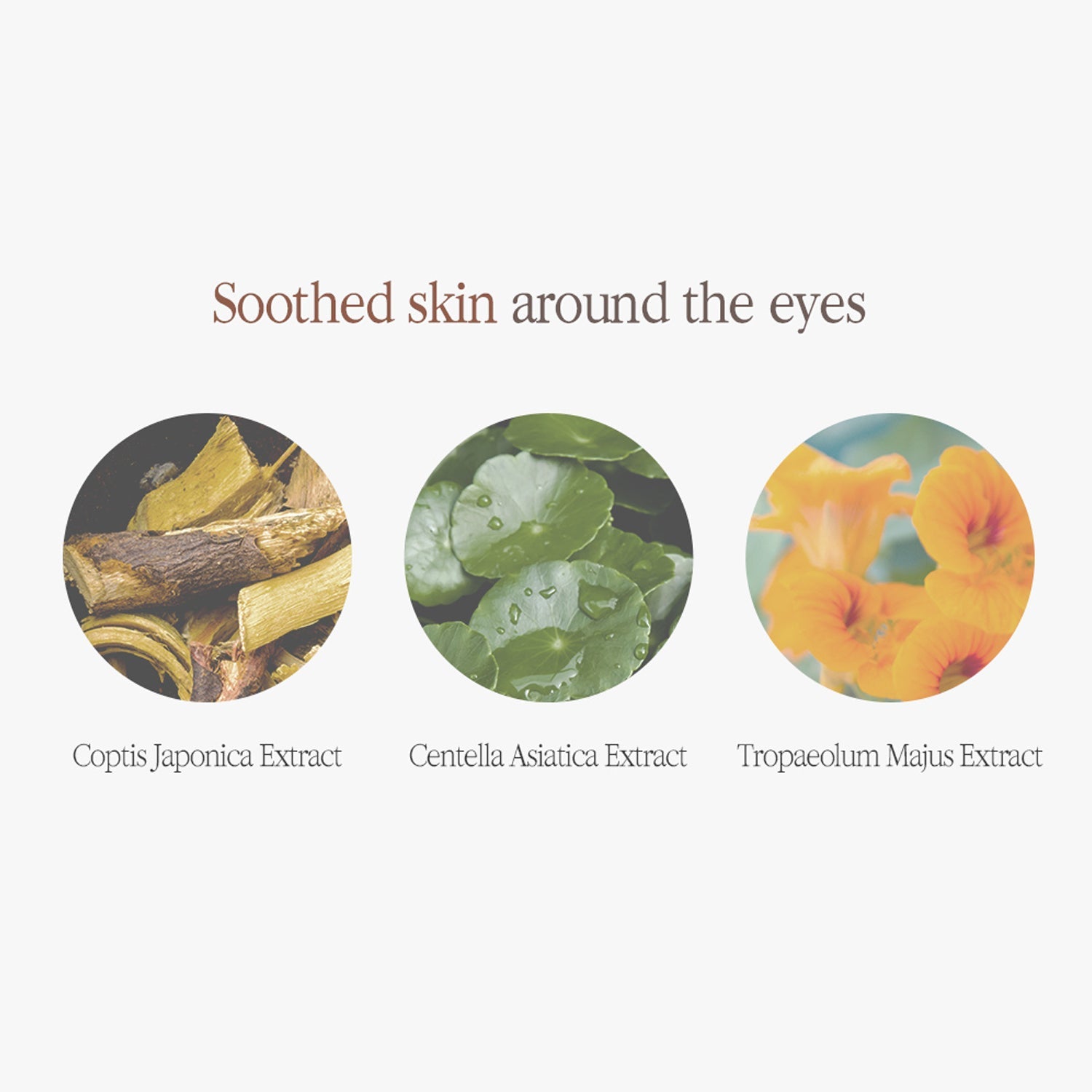 Pyunkang Yul Black Tea Time Reverse Eye Cream - Skin Love Cream