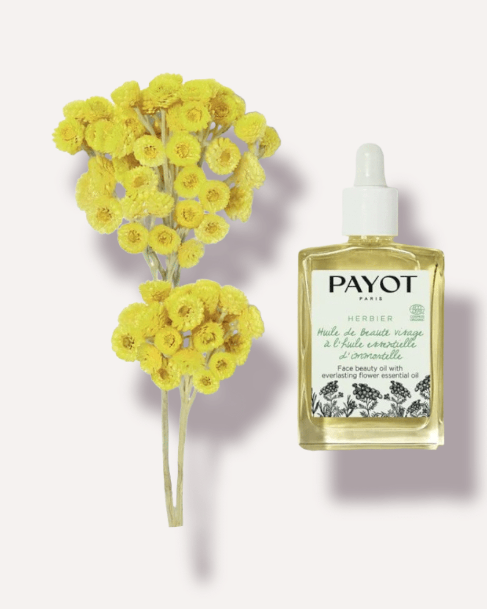 Payot Face Beauty Oil - Skin Love Cream