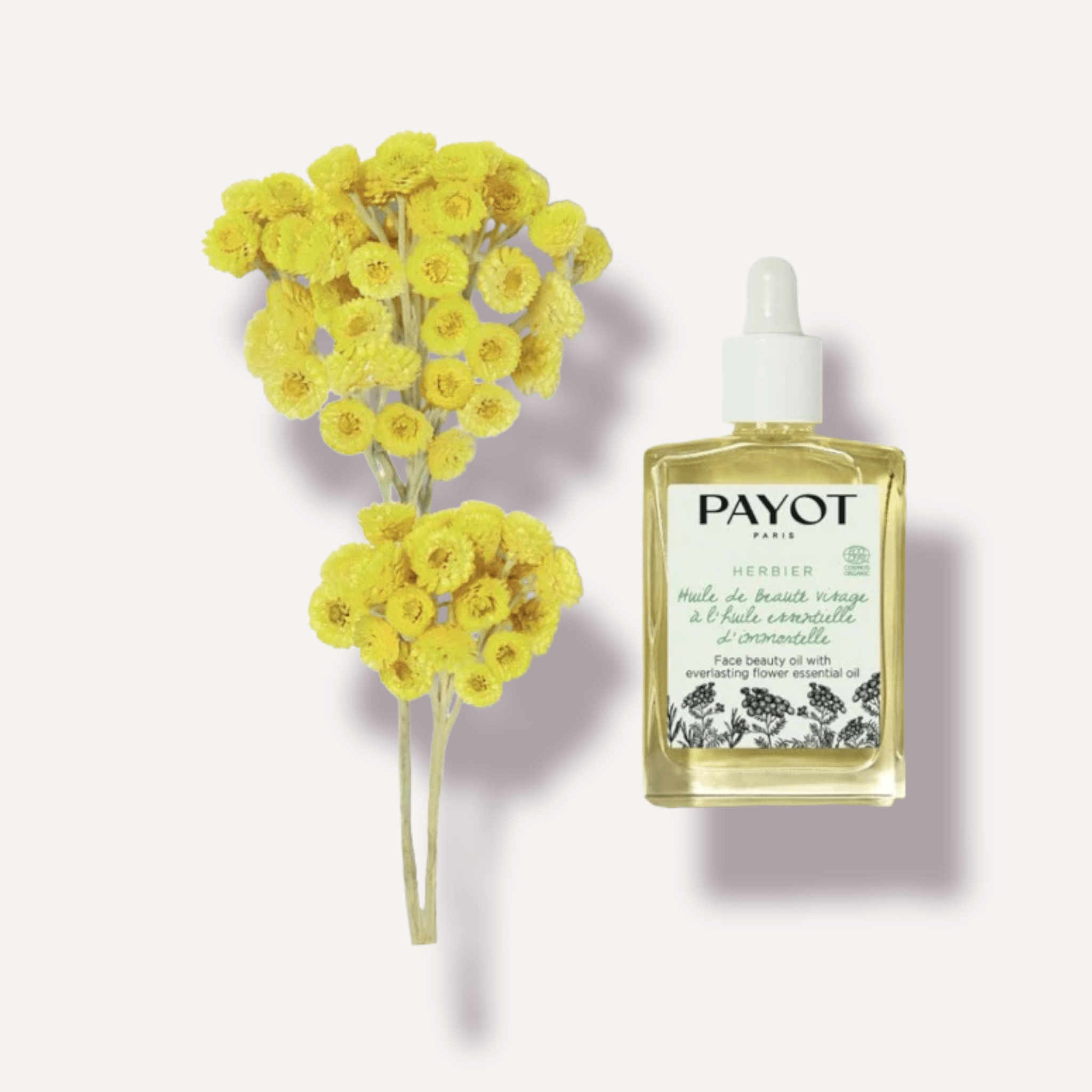 Payot Face Beauty Oil - Skin Love Cream