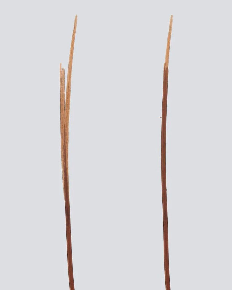 VIRTUE Split End Serum - Skin Love Cream