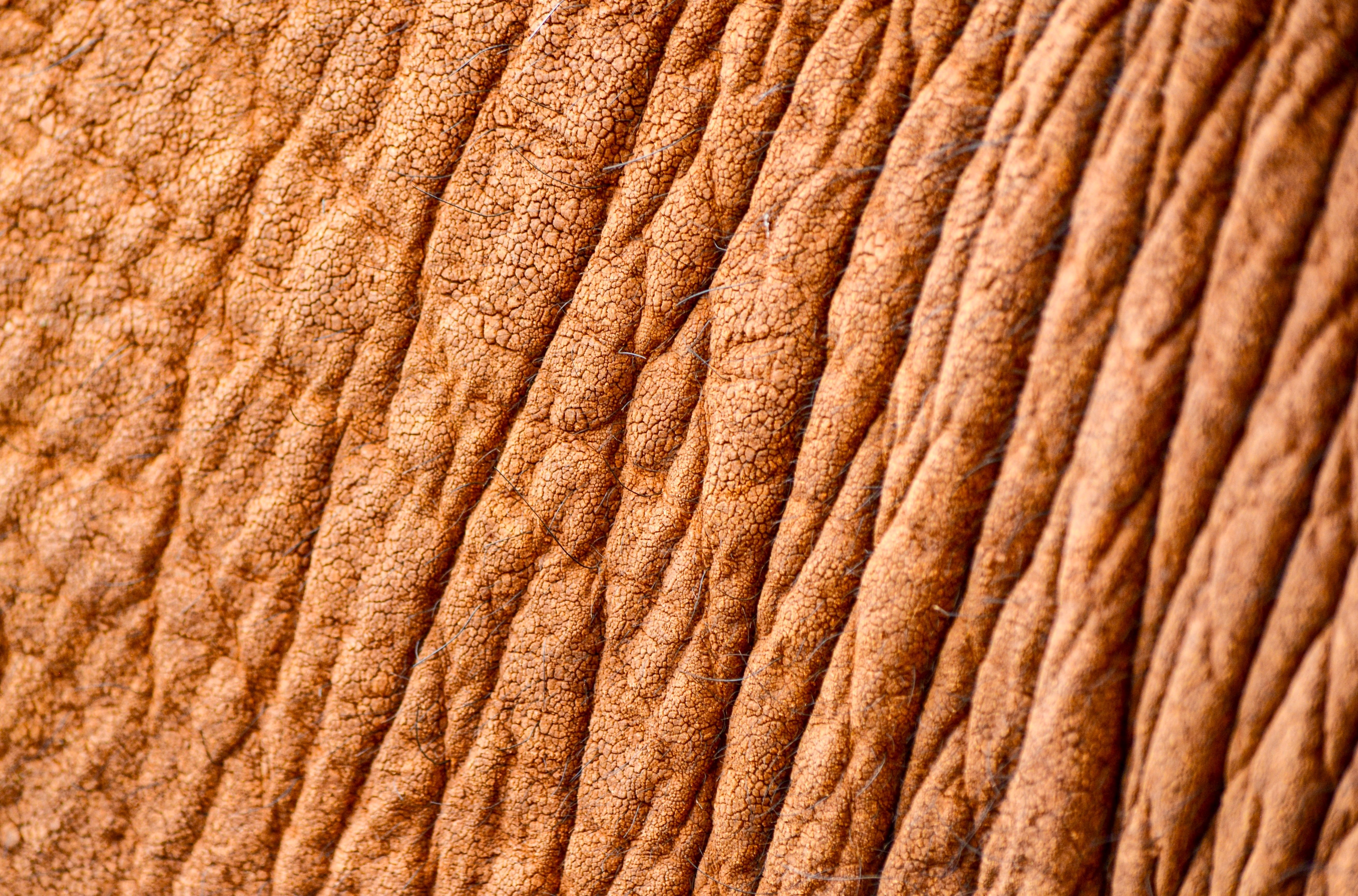 5 life hacks for dry skin that really work - Skin Love Cream