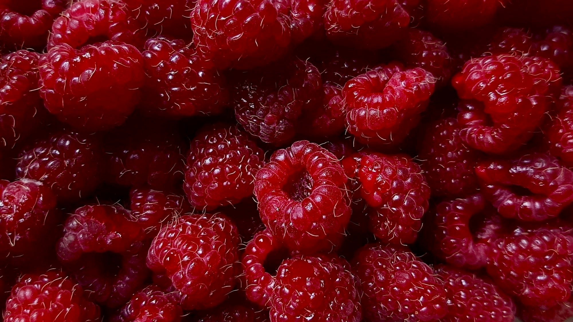 Antioxidants: What are they? - Skin Love Cream