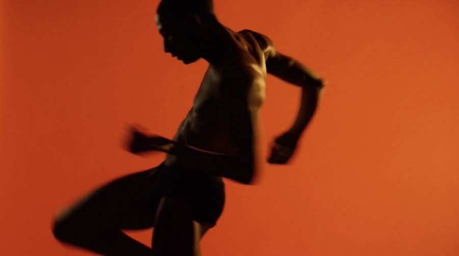 Is Muscle the Most Important Organ Nobody Talks About?