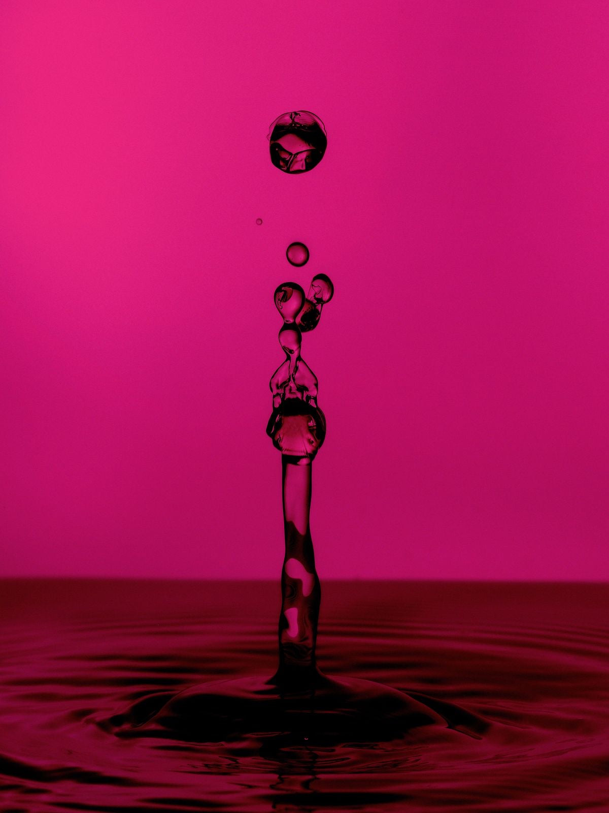NAD+: The Molecule Your Cells Are Running Out Of