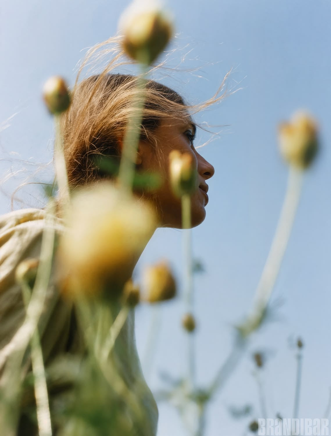 Does Morning Light Start Every Process in Your Body?