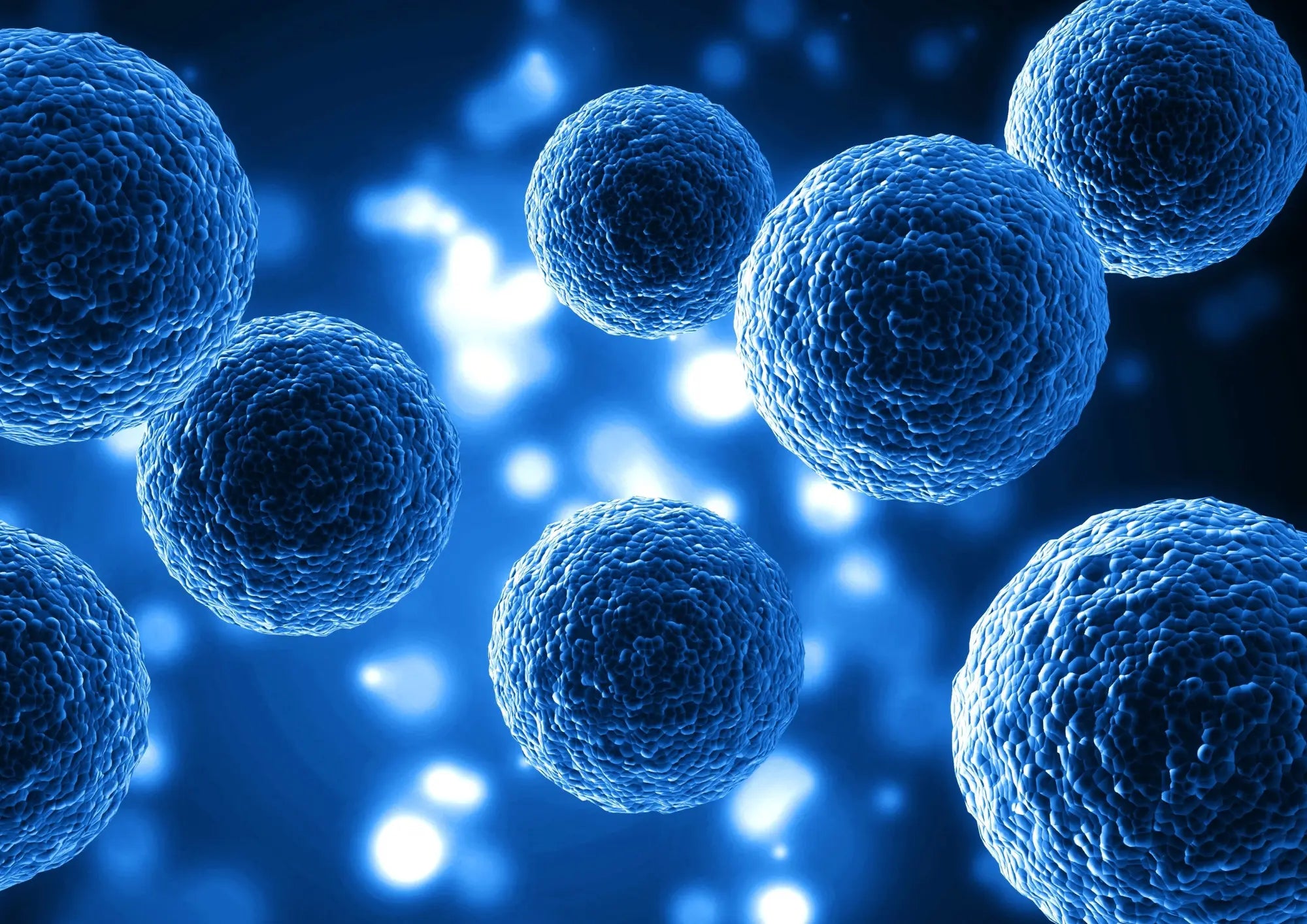 What Are Zombie Cells and Why Are They Breaking Down Your Collagen?