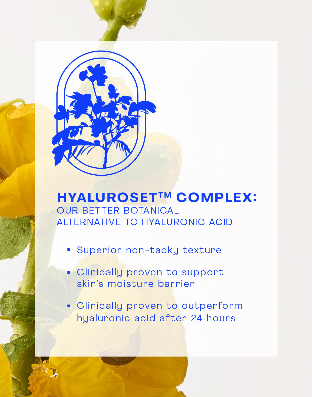 The Outset Nourishing Squalane Daily Moisturizer