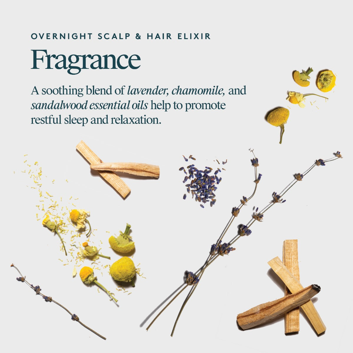 Virtue Overnight Scalp & Hair Elixir