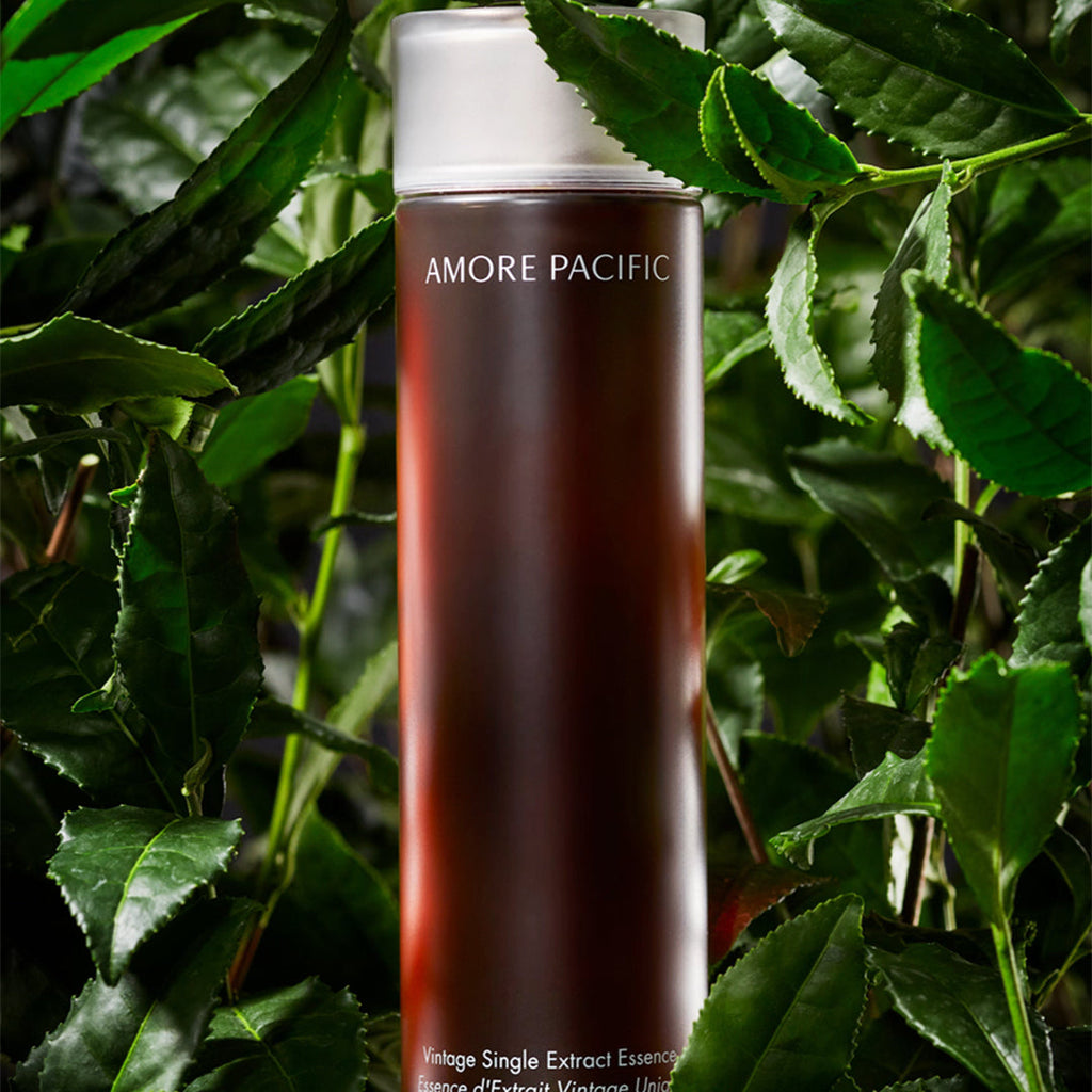Amore Pacific Vintage Single Extract Essence - Green Tea Essence