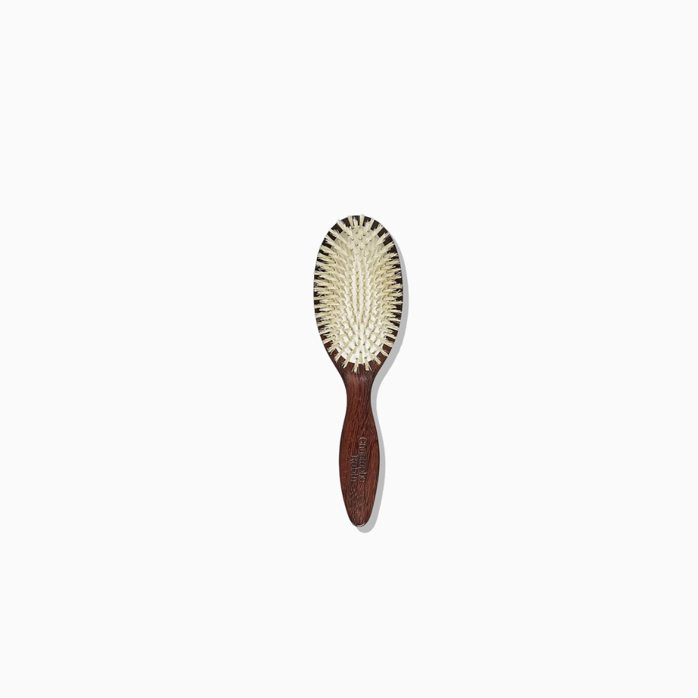 Christophe Robin Travel Hairbrush