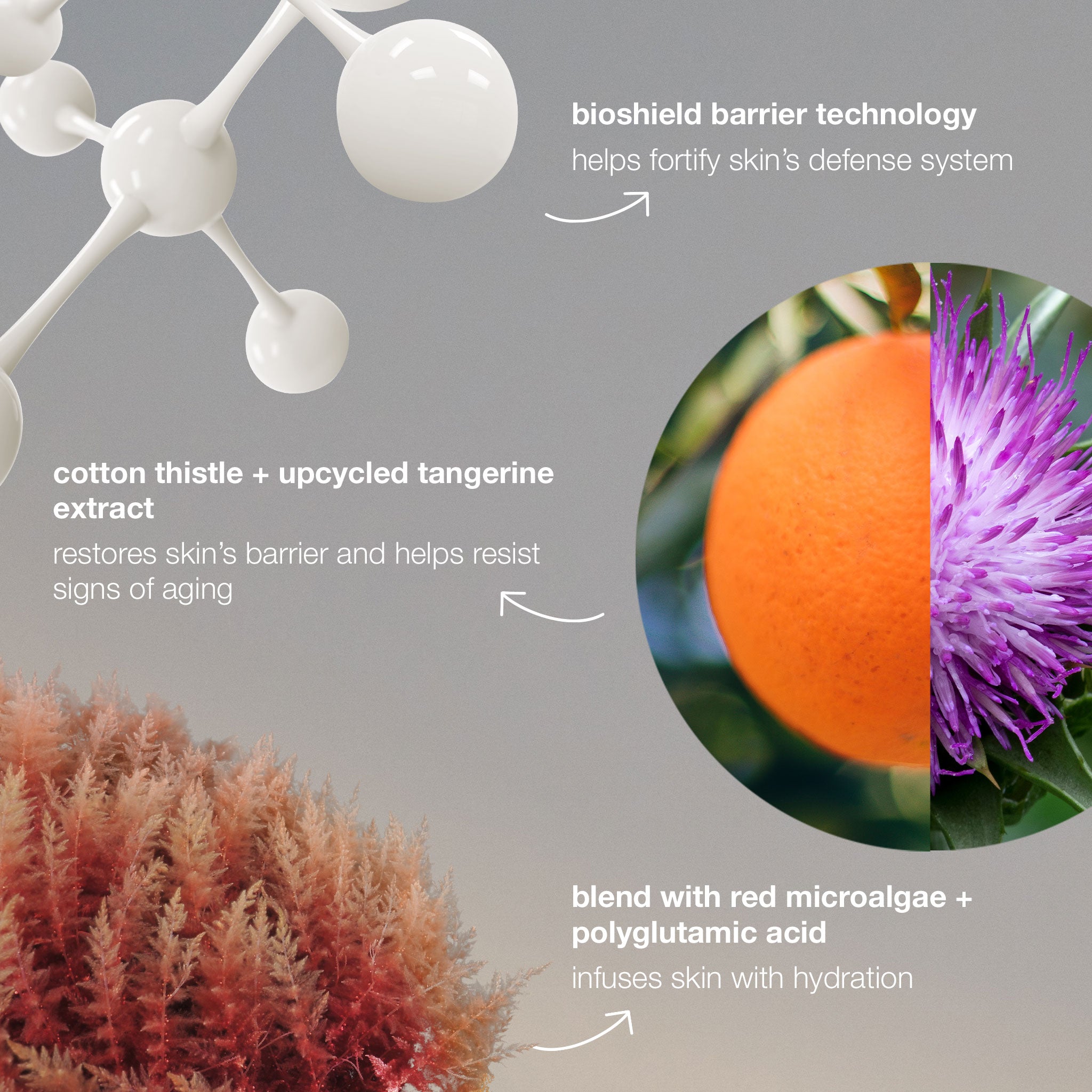 Dermalogica Dynamic Skin Strengthening Serum