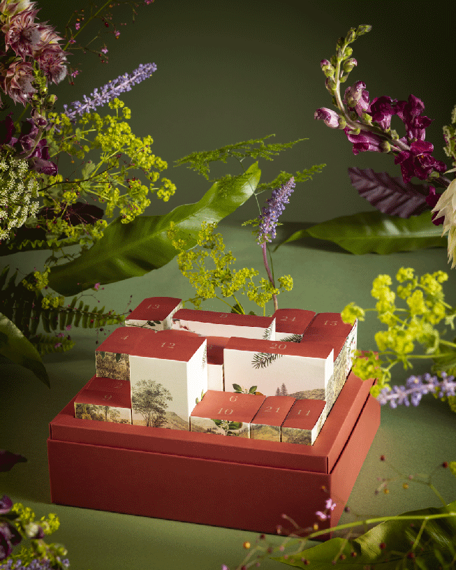 Payot 2023 Advent Calendar! (Worth 260) Skin Love Cream