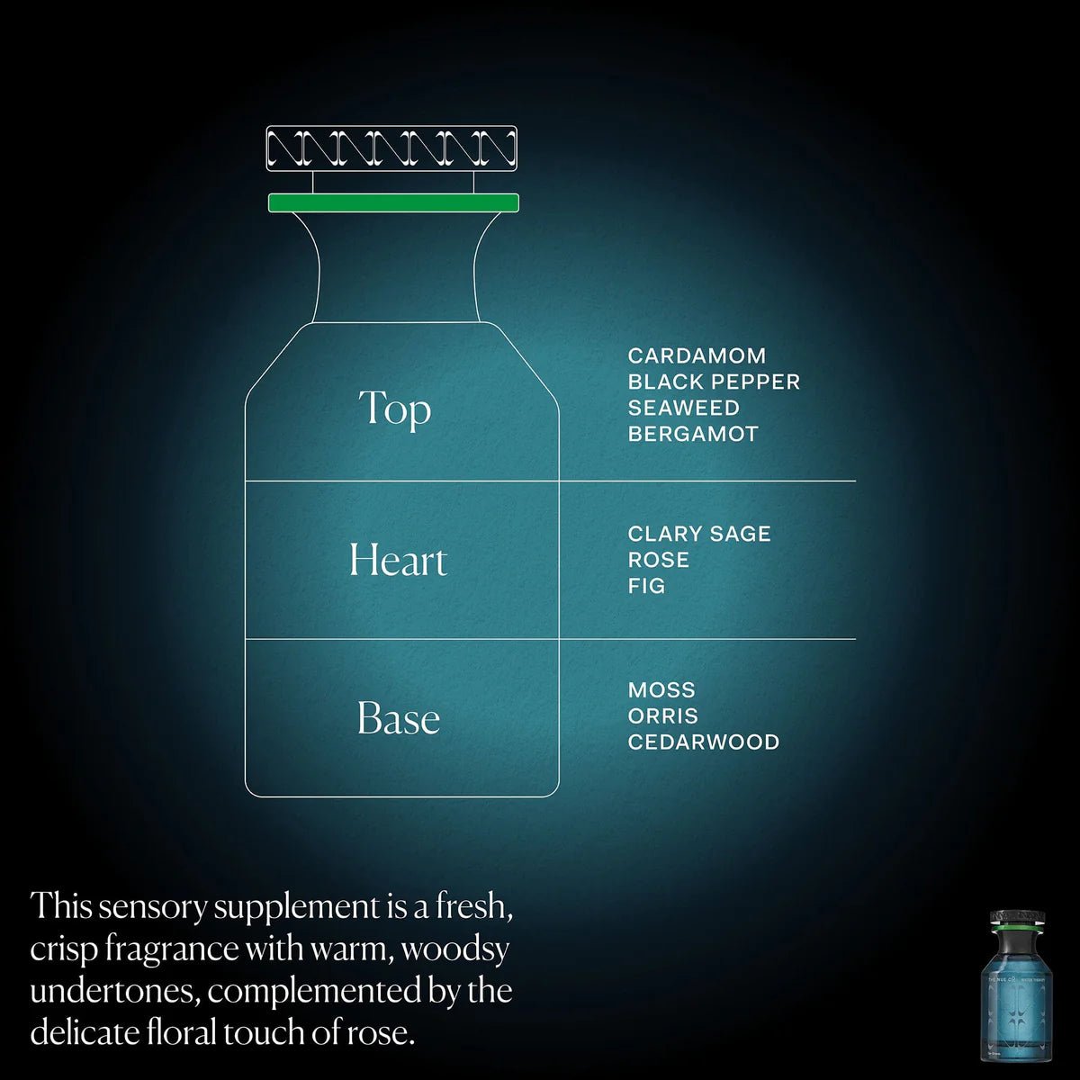 THE NUE CO Water Therapy - Skin Love Cream