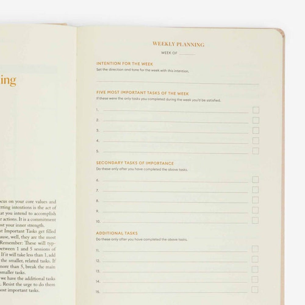 Intelligent Change Productivity Planner - Skin Love Cream