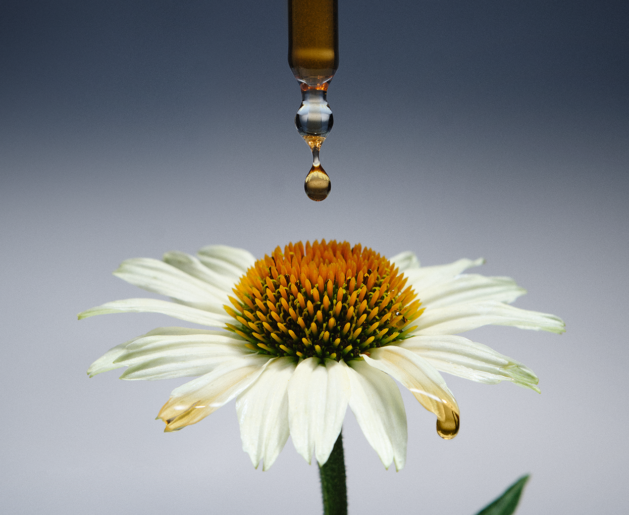 THE NUE CO Defense Drops