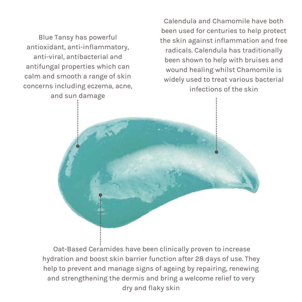 Evolve Organic Beauty Blue Tansy Beauty Balm - Skin Love Cream