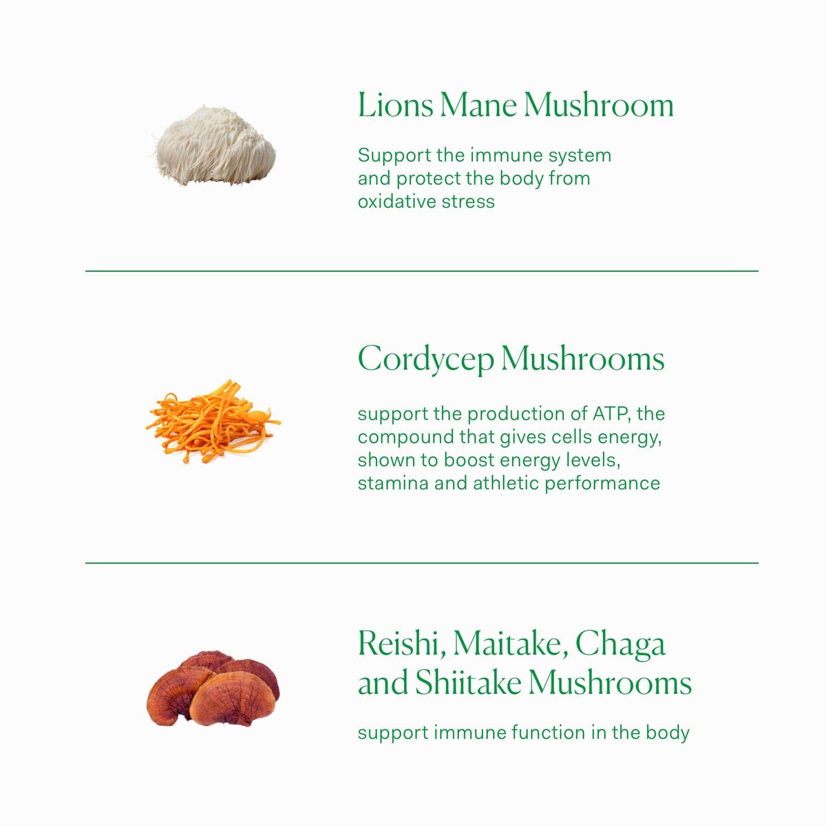 THE NUE CO Multi Mushroom Complex - Skin Love Cream