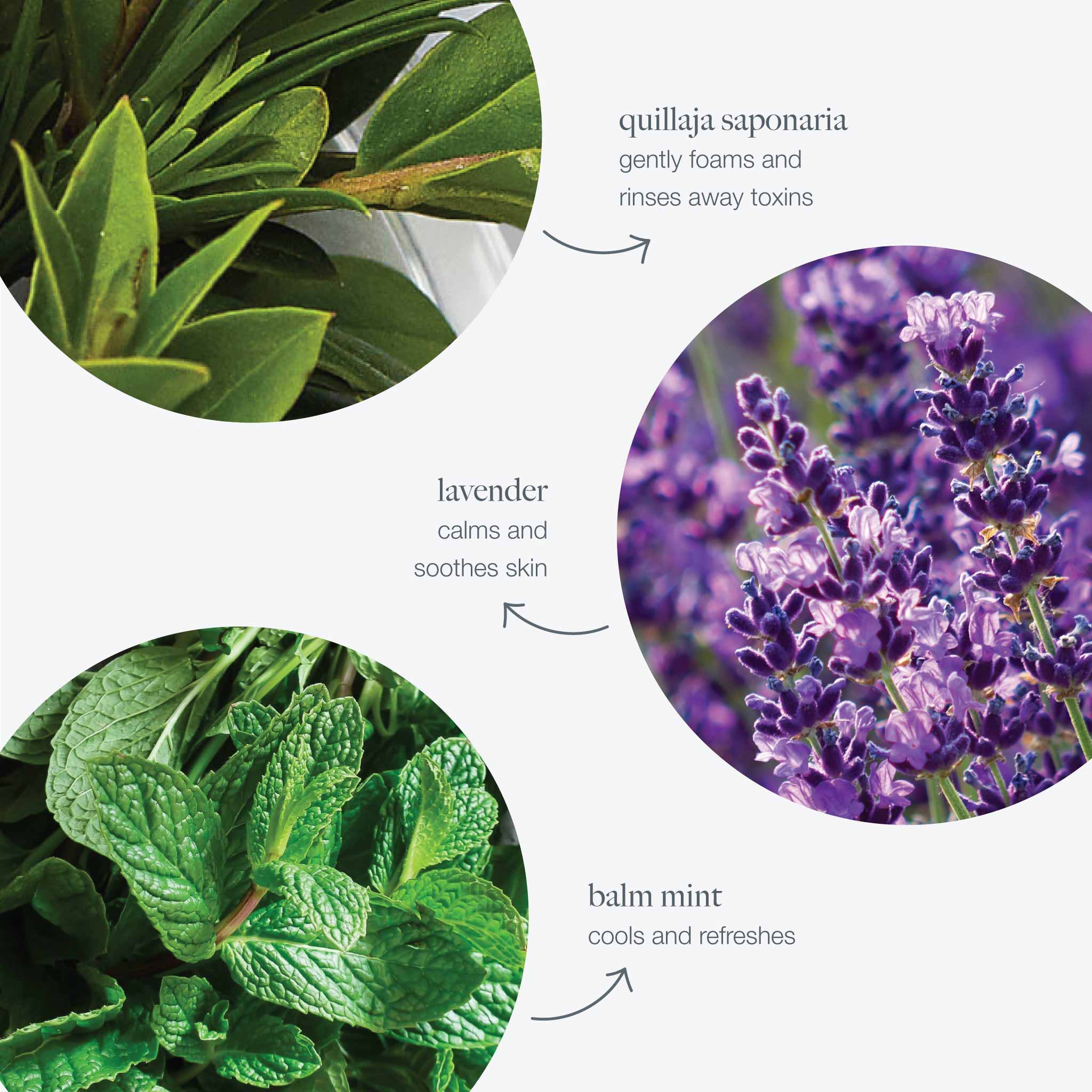 Dermalogica Special Cleansing Gel - Skin Love Cream