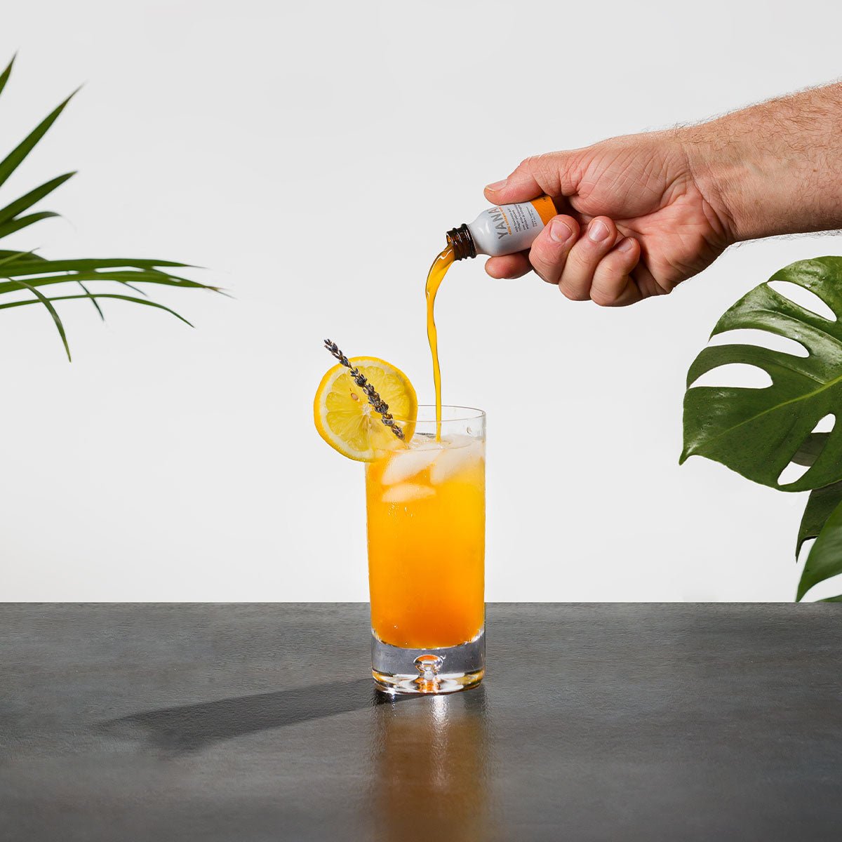 IMAGE Skincare YANA Daily Collagen Shots (28 Days) - Skin Love Cream