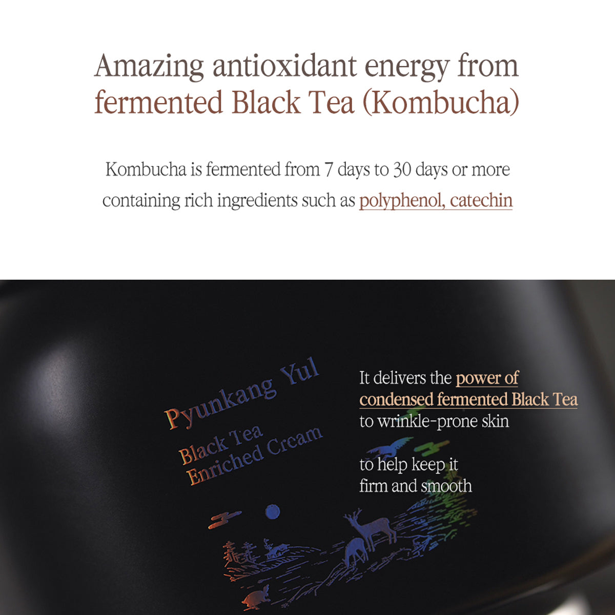 Pyunkang Yul Black Tea Enriched Cream